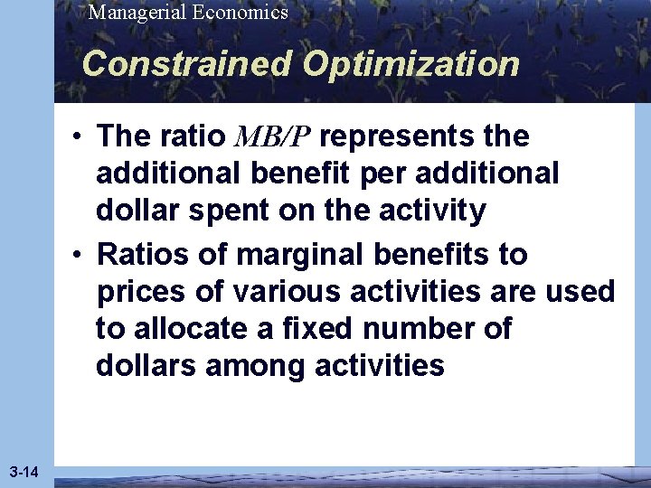 Managerial Economics Constrained Optimization • The ratio MB/P represents the additional benefit per additional