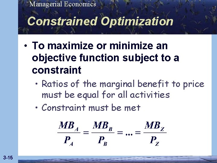 Managerial Economics Constrained Optimization • To maximize or minimize an objective function subject to