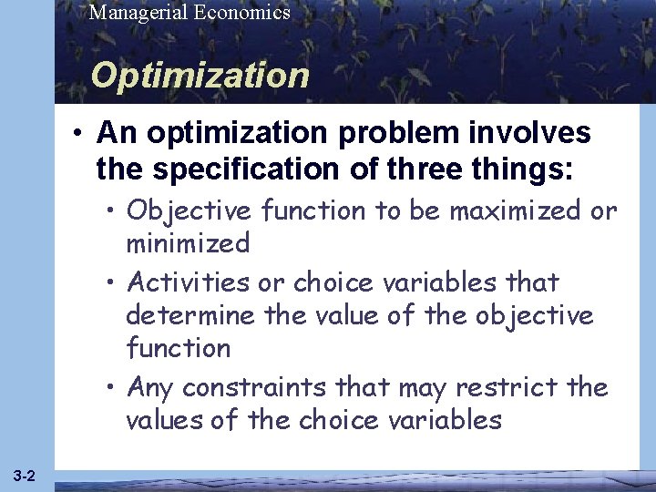 Managerial Economics Optimization • An optimization problem involves the specification of three things: •