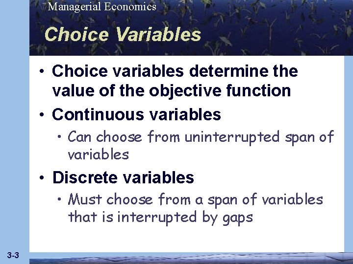 Managerial Economics Choice Variables • Choice variables determine the value of the objective function