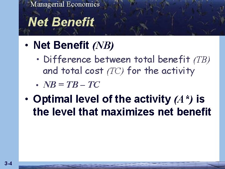 Managerial Economics Net Benefit • Net Benefit (NB) • Difference between total benefit (TB)