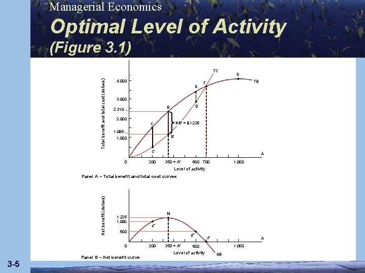 Managerial Economics Optimal Level of Activity (Figure 3. 1) Total benefit and total cost
