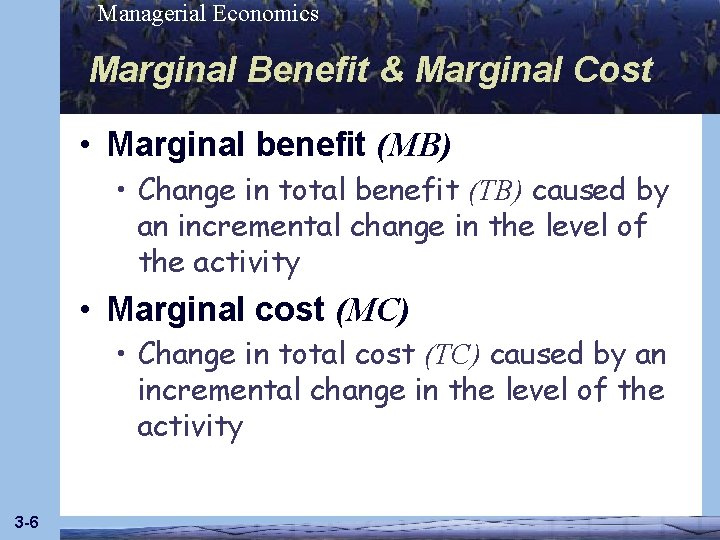 Managerial Economics Marginal Benefit & Marginal Cost • Marginal benefit (MB) • Change in