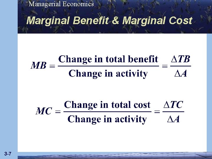 Managerial Economics Marginal Benefit & Marginal Cost 3 -7 