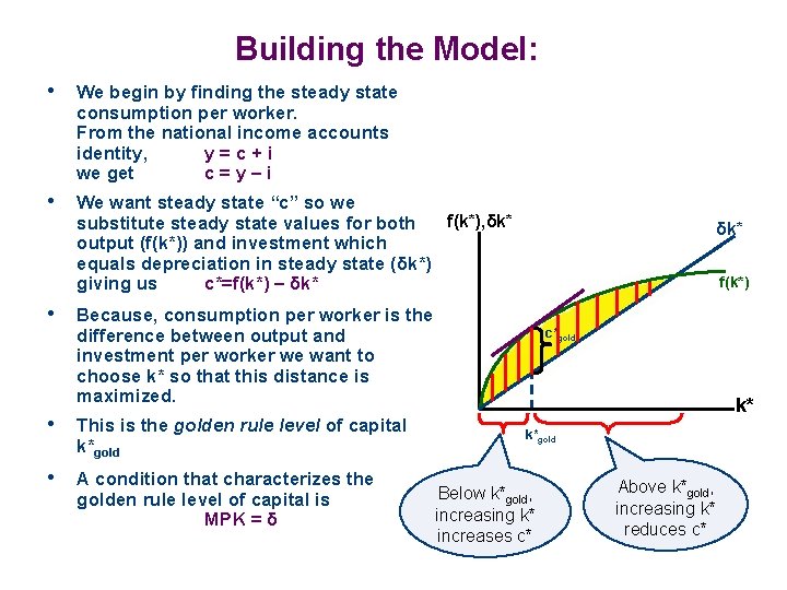 Building the Model: • We begin by finding the steady state consumption per worker.