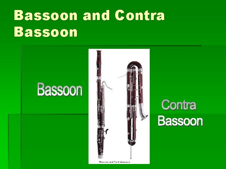 Bassoon and Contra Bassoon 
