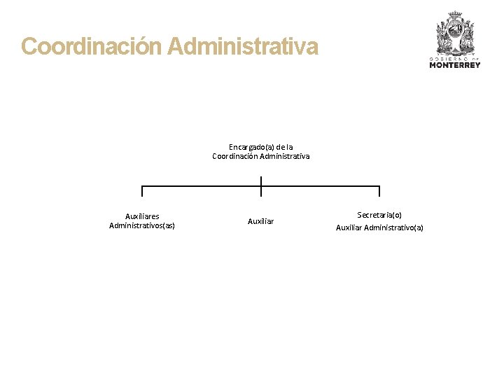 Coordinación Administrativa Encargado(a) de la Coordinación Administrativa Auxiliares Administrativos(as) Auxiliar Secretaria(o) Auxiliar Administrativo(a) 