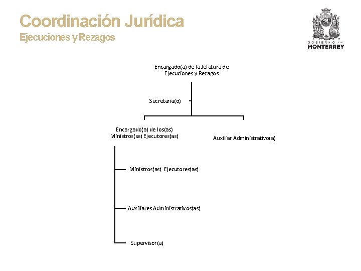 Coordinación Jurídica Ejecuciones y Rezagos Encargado(a) de la Jefatura de Ejecuciones y Rezagos Secretaria(o)