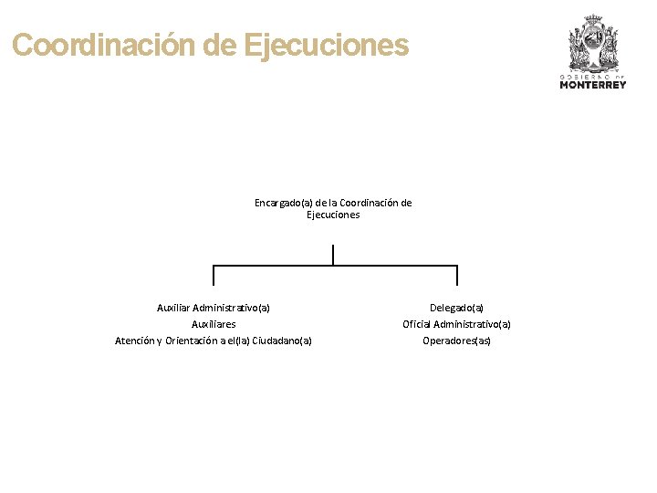 Coordinación de Ejecuciones Encargado(a) de la Coordinación de Ejecuciones Auxiliar Administrativo(a) Auxiliares Atención y