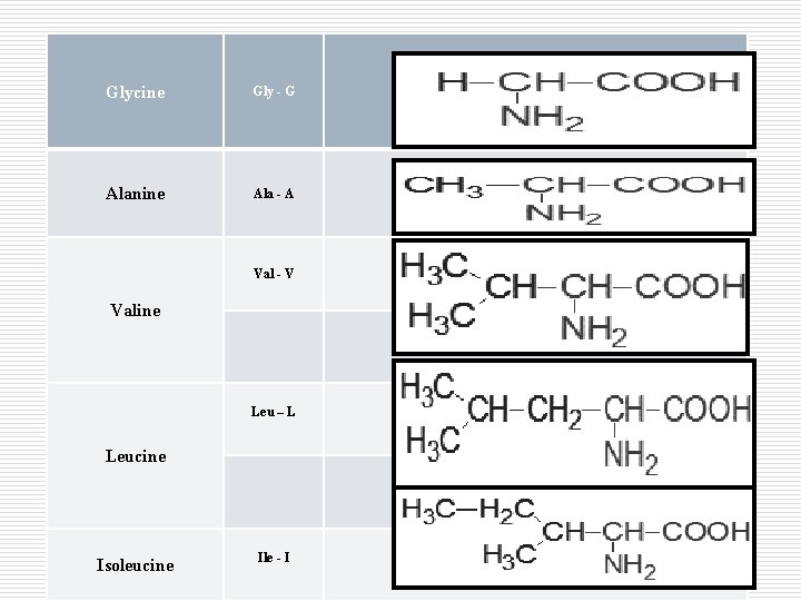 Glycine Gly - G Alanine Ala - A Val - V Valine Leu –