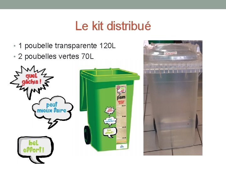 Le kit distribué • 1 poubelle transparente 120 L • 2 poubelles vertes 70