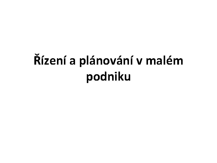 Řízení a plánování v malém podniku 