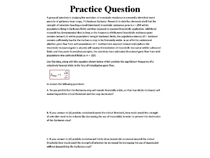 Practice Question 