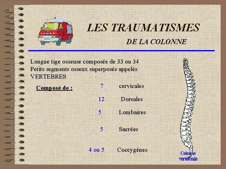 LES TRAUMATISMES DE LA COLONNE Longue tige osseuse composée de 33 ou 34 Petits