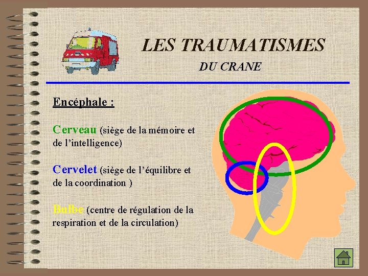 LES TRAUMATISMES DU CRANE Encéphale : Cerveau (siège de la mémoire et de l’intelligence)