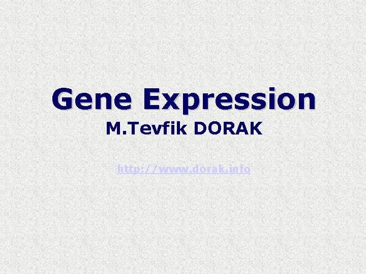 Gene Expression M. Tevfik DORAK http: //www. dorak. info 