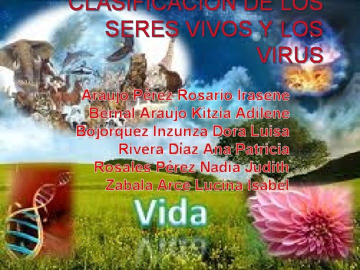 CLASIFICACION DE LOS SERES VIVOS Y LOS VIRUS Araujo Pérez Rosario Irasene Bernal Araujo