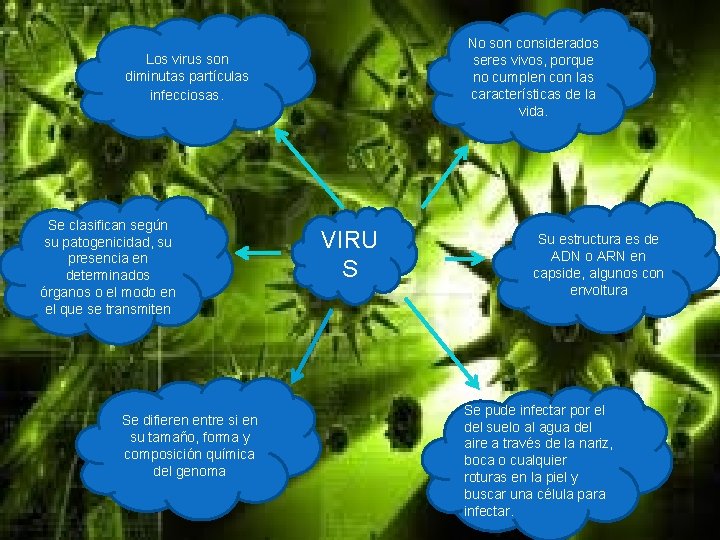 No son considerados seres vivos, porque no cumplen con las características de la vida.