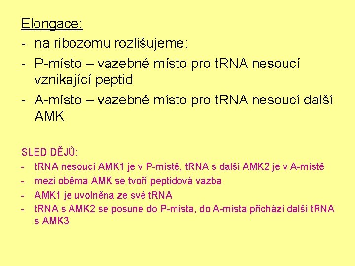 Elongace: - na ribozomu rozlišujeme: - P-místo – vazebné místo pro t. RNA nesoucí