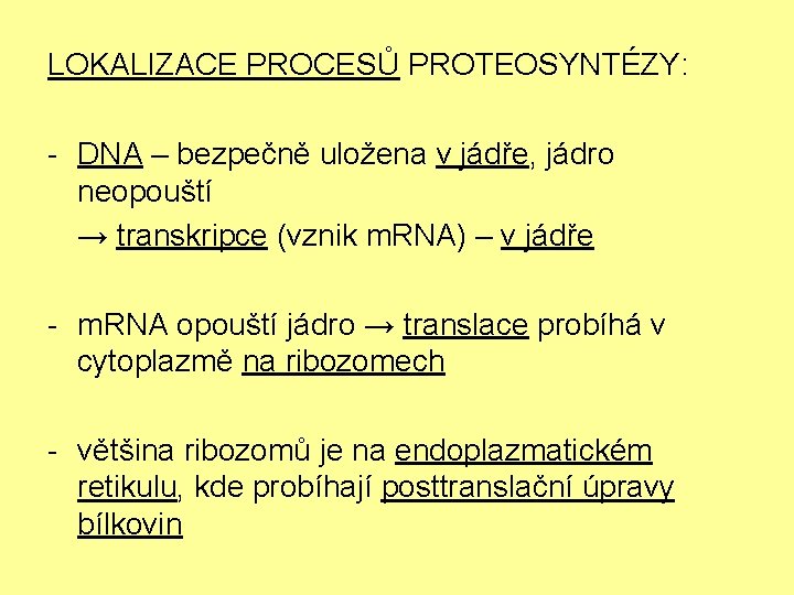 LOKALIZACE PROCESŮ PROTEOSYNTÉZY: - DNA – bezpečně uložena v jádře, jádro neopouští → transkripce