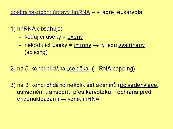 posttranskripční úpravy hn. RNA – v jádře, eukaryota: 1) hn. RNA obsahuje: - kódující