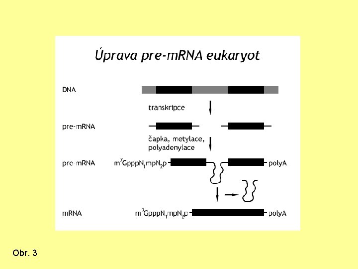 Obr. 3 