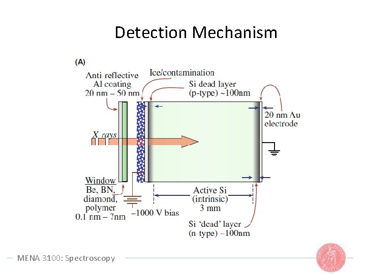 Detection Mechanism MENA 3100: Spectroscopy 