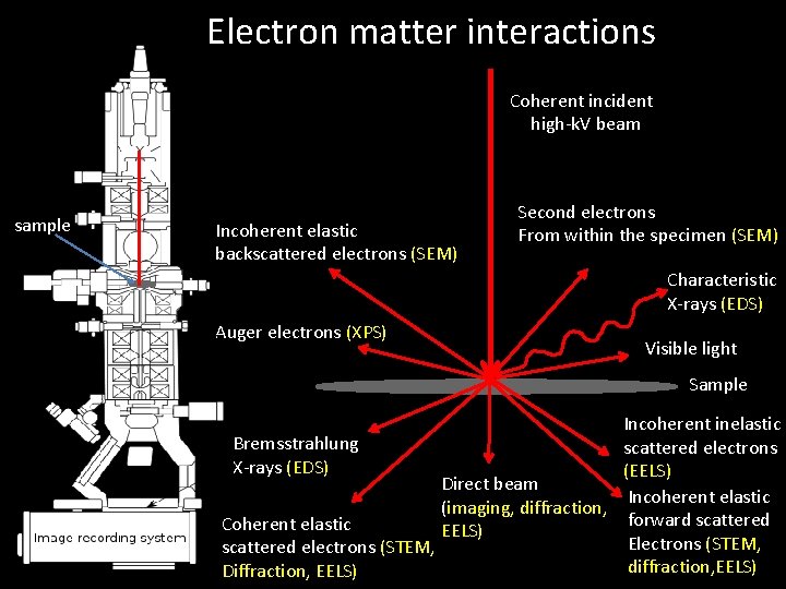 Electron matter interactions Coherent incident high-k. V beam sample Incoherent elastic backscattered electrons (SEM)