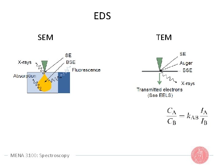 EDS SEM MENA 3100: Spectroscopy TEM 