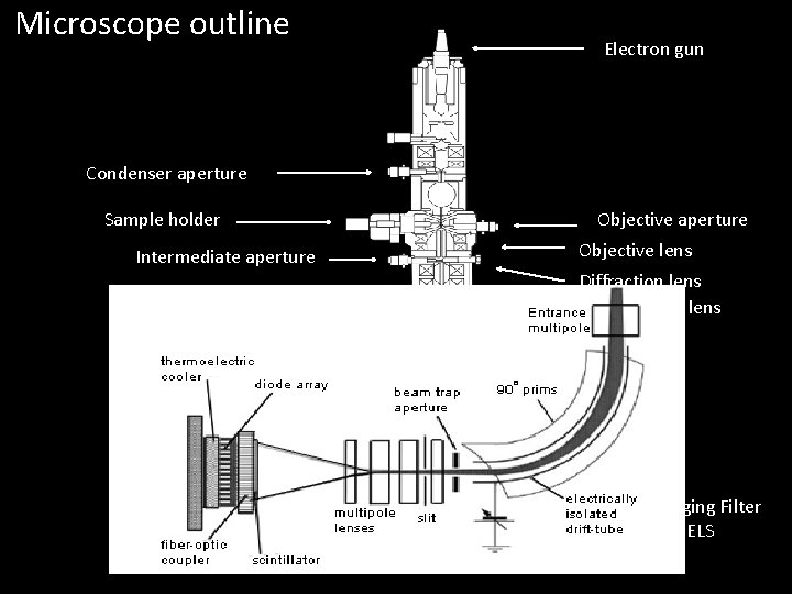 Microscope outline Electron gun Condenser aperture Sample holder Intermediate aperture Projector lenses Objective aperture
