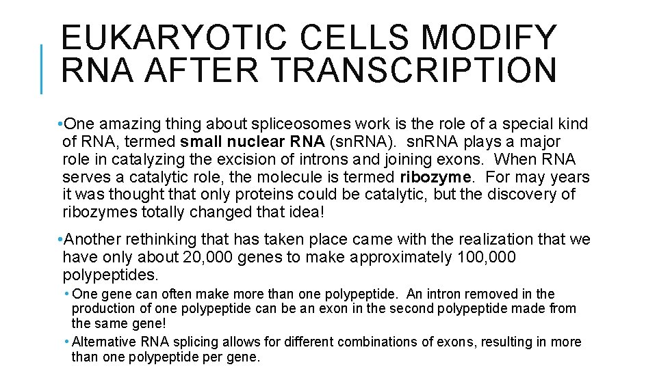 EUKARYOTIC CELLS MODIFY RNA AFTER TRANSCRIPTION • One amazing thing about spliceosomes work is
