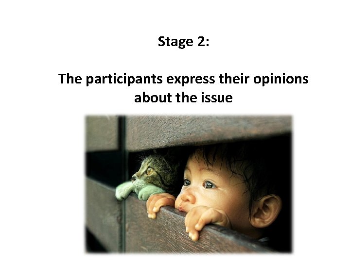 Stage 2: The participants express their opinions about the issue 