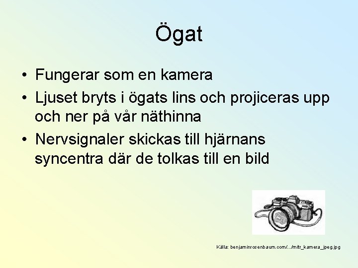 Ögat • Fungerar som en kamera • Ljuset bryts i ögats lins och projiceras