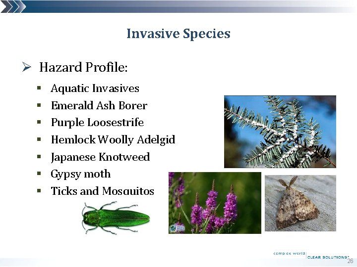 Invasive Species Ø Hazard Profile: § § § § Aquatic Invasives Emerald Ash Borer