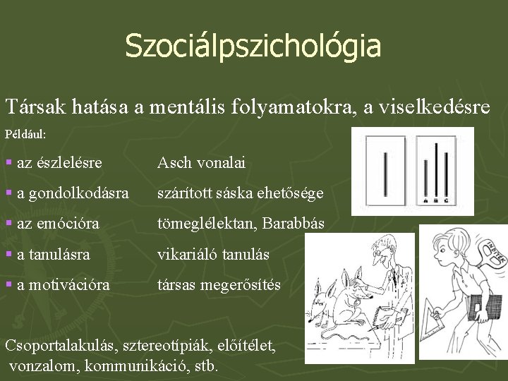 Szociálpszichológia Társak hatása a mentális folyamatokra, a viselkedésre Például: § az észlelésre Asch vonalai