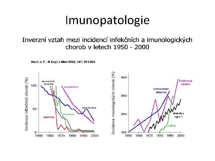 Imunopatologie 
