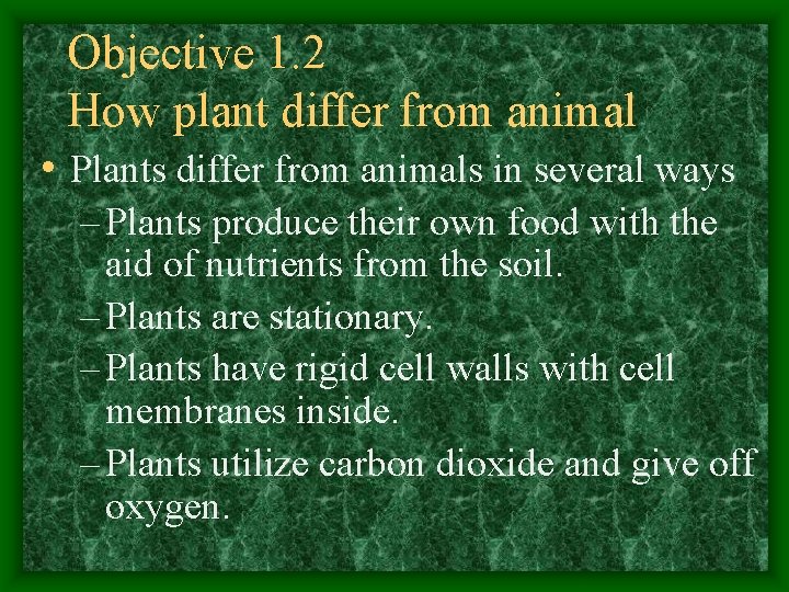 Objective 1. 2 How plant differ from animal • Plants differ from animals in