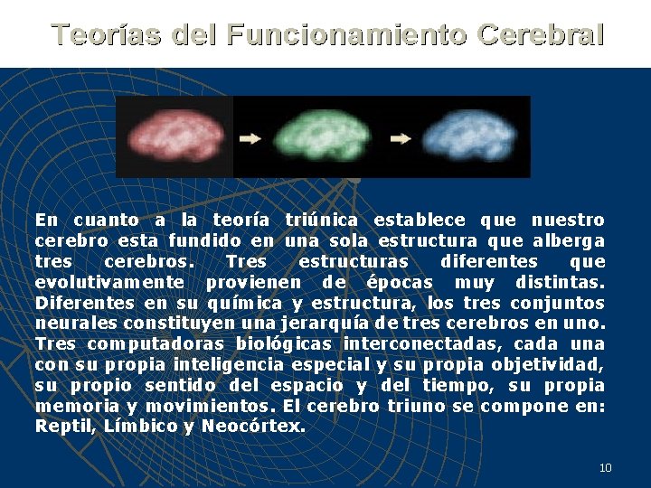 En cuanto a la teoría triúnica establece que nuestro cerebro esta fundido en una