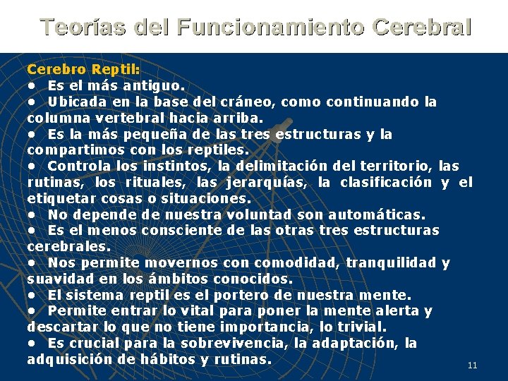 Cerebro Reptil: • Es el más antiguo. • Ubicada en la base del cráneo,
