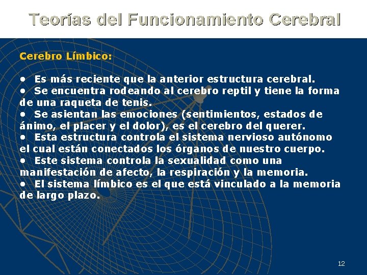 Cerebro Límbico: • Es más reciente que la anterior estructura cerebral. • Se encuentra