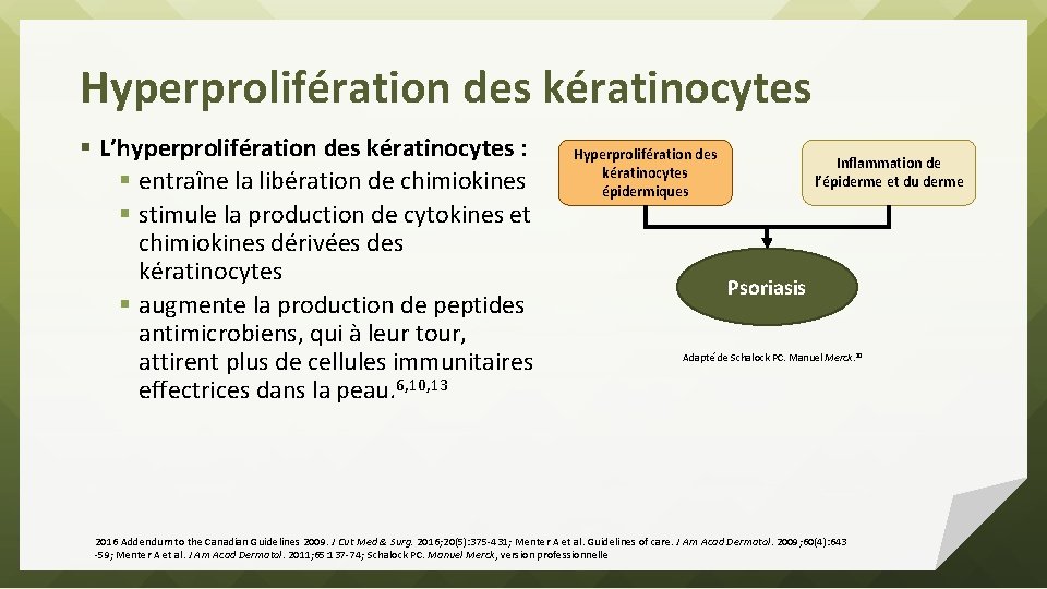 Hyperprolifération des kératinocytes § L’hyperprolifération des kératinocytes : § entraîne la libération de chimiokines