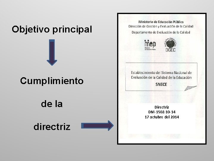 Objetivo principal Cumplimiento de la directriz DM-1502 -10 -14 17 octubre del 2014 