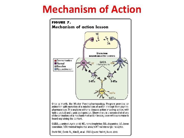 Mechanism of Action 