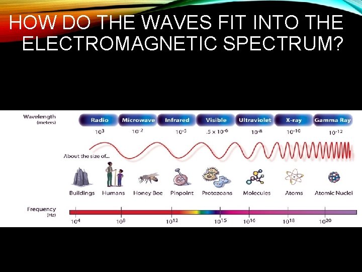 HOW DO THE WAVES FIT INTO THE ELECTROMAGNETIC SPECTRUM? 