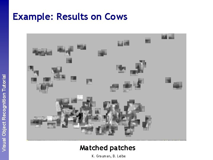 Perceptual and. Recognition Sensory Augmented Visual Object Tutorial Computing Example: Results on Cows Interest