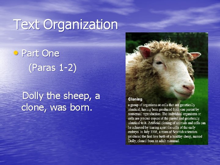 Text Organization • Part One (Paras 1 -2) Dolly the sheep, a clone, was