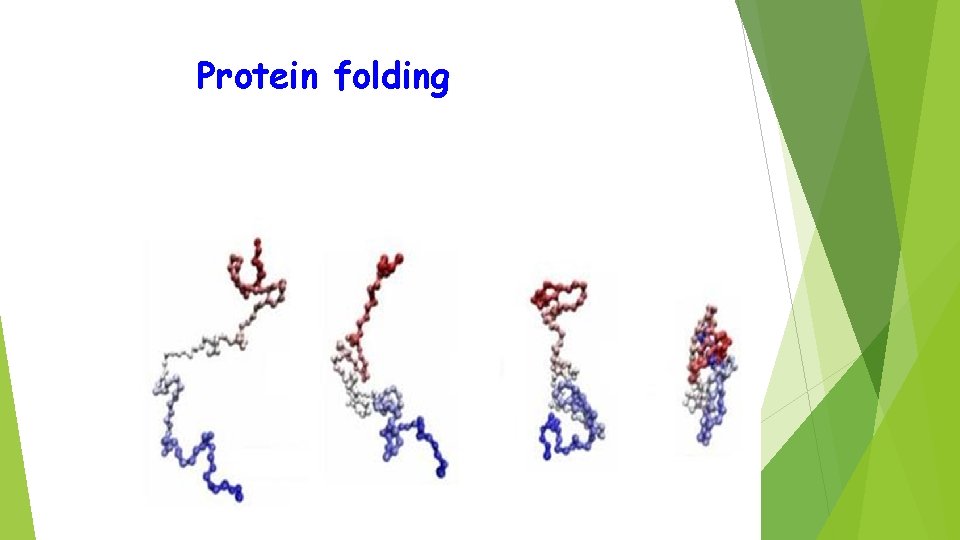 Protein folding 