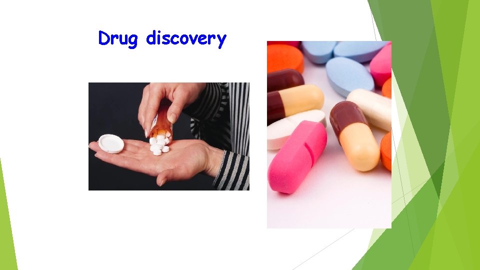 Drug discovery 