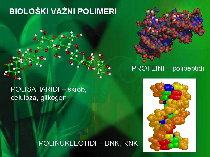 BIOLOŠKI VAŽNI POLIMERI PROTEINI – polipeptidi POLISAHARIDI – skrob, celuloza, glikogen POLINUKLEOTIDI – DNK,