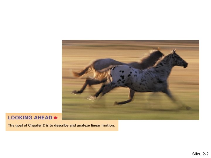 2 Motion in One Dimension Slide 2 -2 